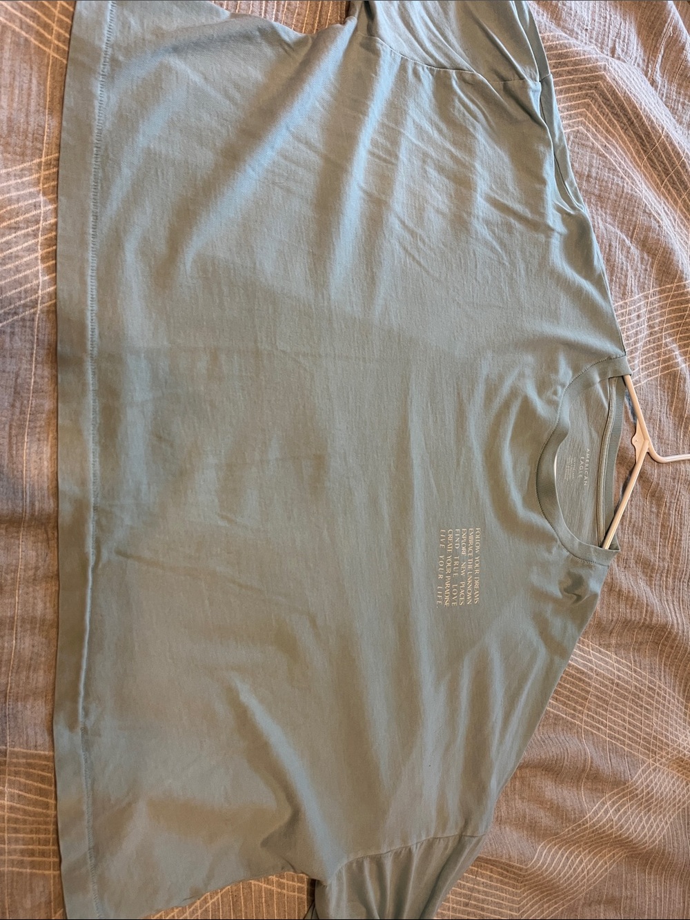 American Eagle Outfitters Light Sage Green Crop Tee